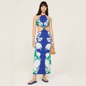 FARM Rio Blue and Green Floral Backless Dress